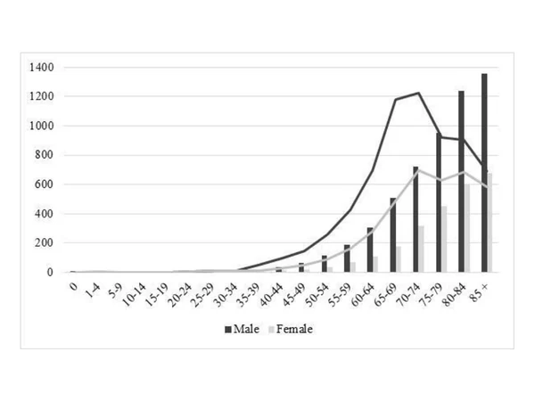 Figure preview for Effects of the COVID-19 Pandemic on Mortality in Serbia in 2020